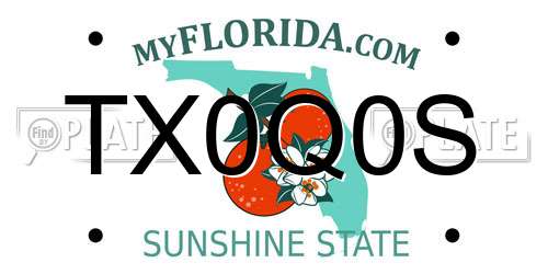 TX0Q0S Florida License Plate