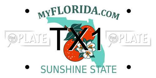 TX1 Florida License Plate