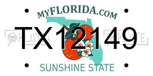 TX12149 Florida License Plate