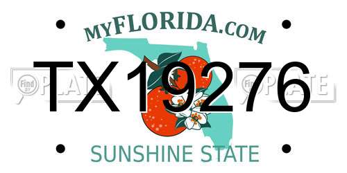 TX19276 Florida License Plate