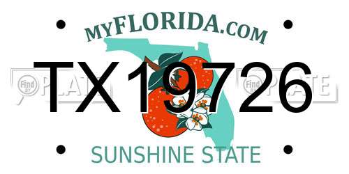 TX19726 Florida License Plate