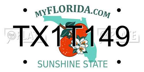 TX1T149 Florida License Plate
