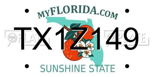 TX1Z149 Florida License Plate