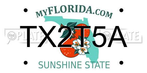 TX2T5A Florida License Plate