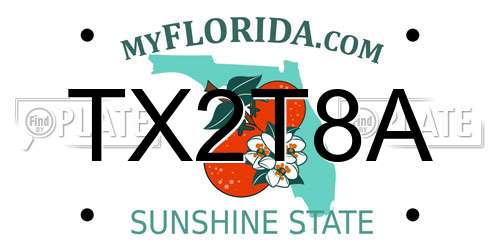 TX2T8A Florida License Plate