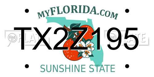 TX2Z195 Florida License Plate