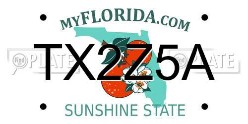 TX2Z5A Florida License Plate