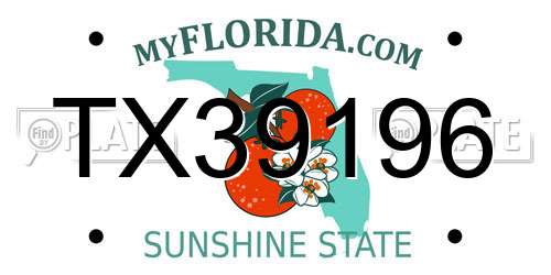 TX39196 Florida License Plate