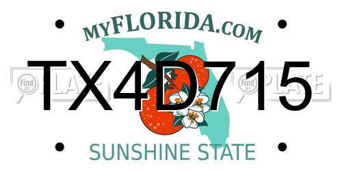 TX4D715 Florida License Plate