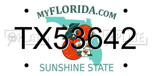 TX53642 Florida License Plate