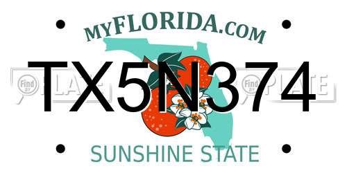 TX5N374 Florida License Plate