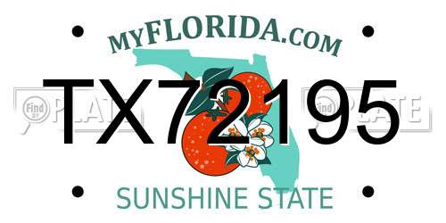 TX72195 Florida License Plate