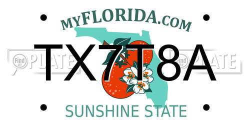 TX7T8A Florida License Plate