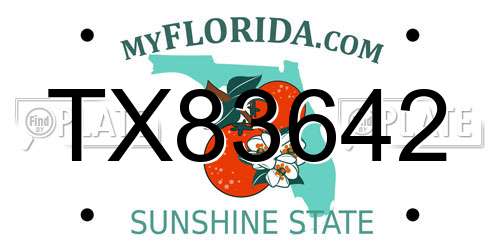 TX83642 Florida License Plate