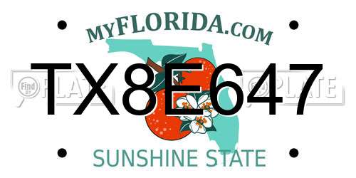 TX8E647 Florida License Plate