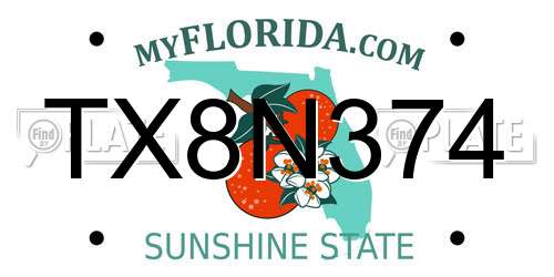 TX8N374 Florida License Plate