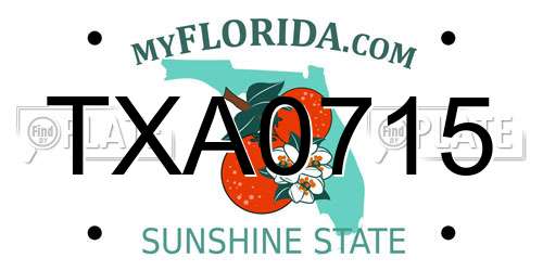 TXA0715 Florida License Plate