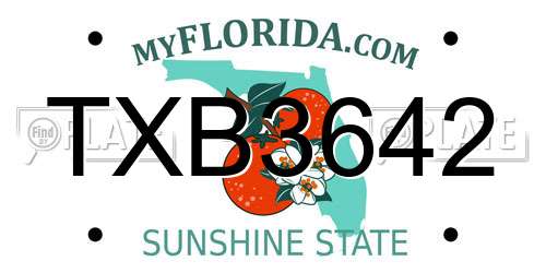 TXB3642 Florida License Plate