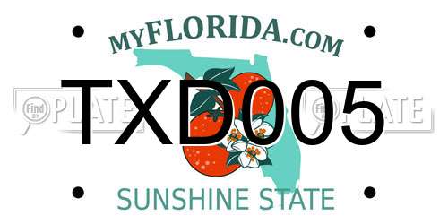 TXD005 Florida License Plate