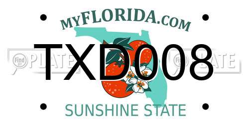 TXD008 Florida License Plate