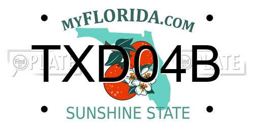 TXD04B Florida License Plate