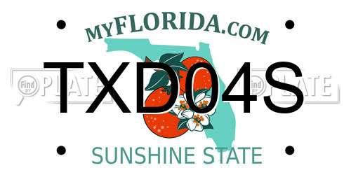 TXD04S Florida License Plate