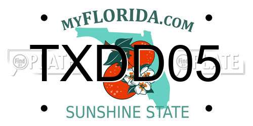 TXDD05 Florida License Plate
