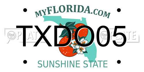 TXDO05 Florida License Plate