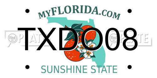 TXDO08 Florida License Plate
