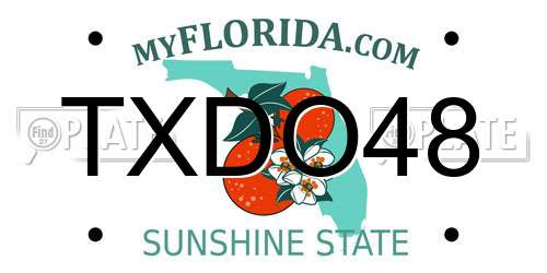 TXDO48 Florida License Plate