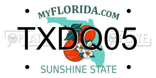 TXDQ05 Florida License Plate