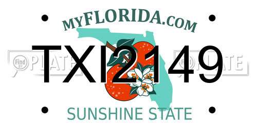 TXI2149 Florida License Plate