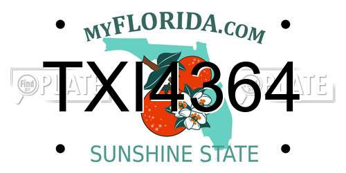 TXI4364 Florida License Plate