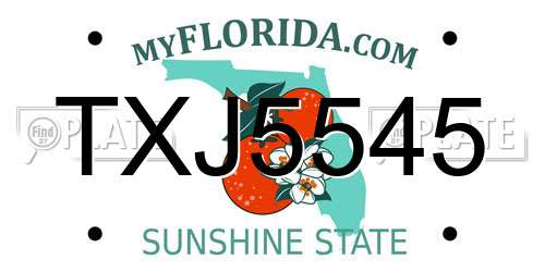 TXJ5545 Florida License Plate