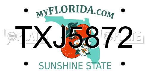 TXJ5872 Florida License Plate