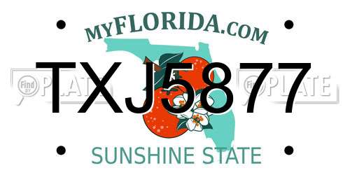 TXJ5877 Florida License Plate