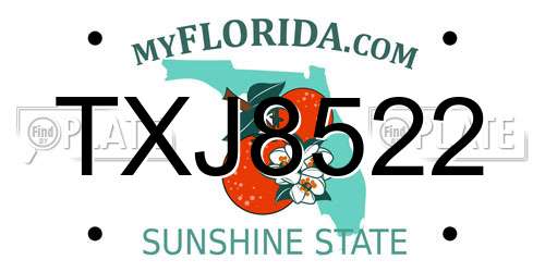 TXJ8522 Florida License Plate