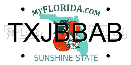TXJBBAB Florida License Plate
