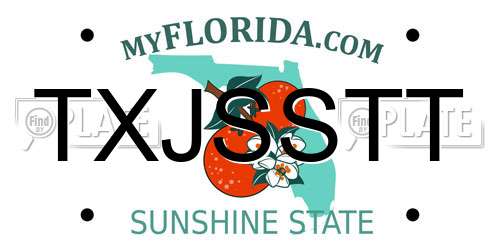 TXJSSTT Florida License Plate