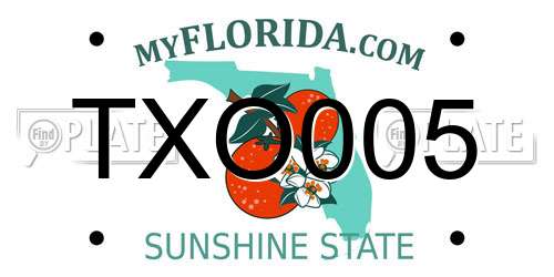 TXO005 Florida License Plate