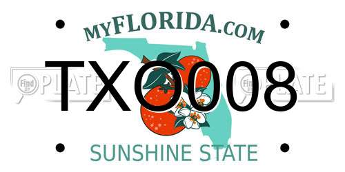 TXO008 Florida License Plate