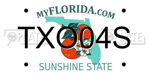 TXO04S Florida License Plate