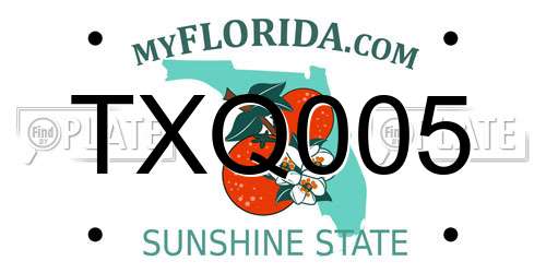 TXQ005 Florida License Plate