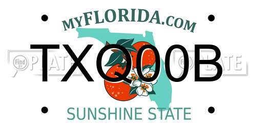 TXQ00B Florida License Plate