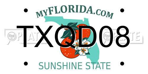 TXQD08 Florida License Plate