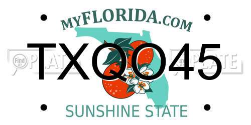 TXQO45 Florida License Plate