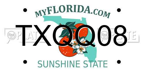 TXQQ08 Florida License Plate