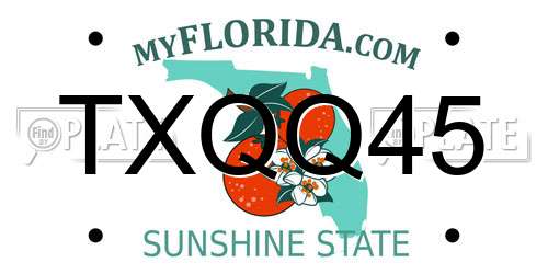 TXQQ45 Florida License Plate