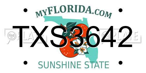 TXS3642 Florida License Plate