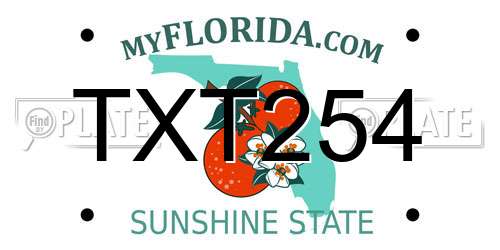 TXT254 Florida License Plate